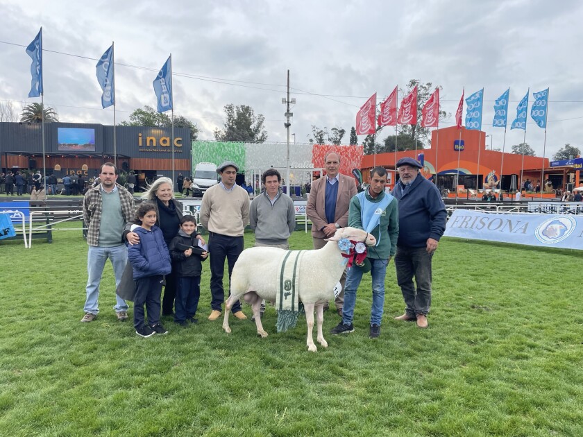 Gran Campeón PO de Luis Piccone.