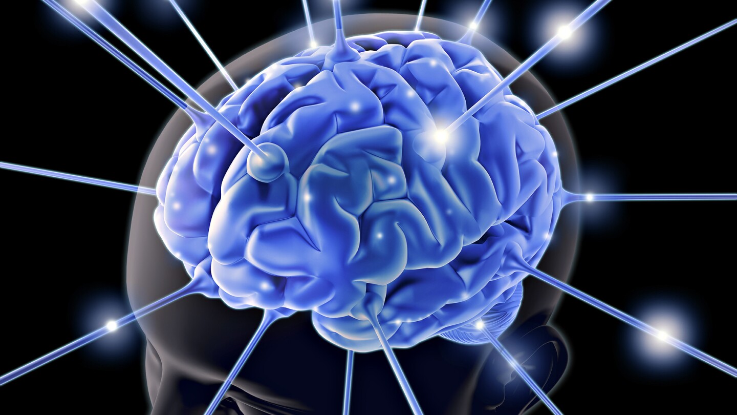 Cerebro.jpg