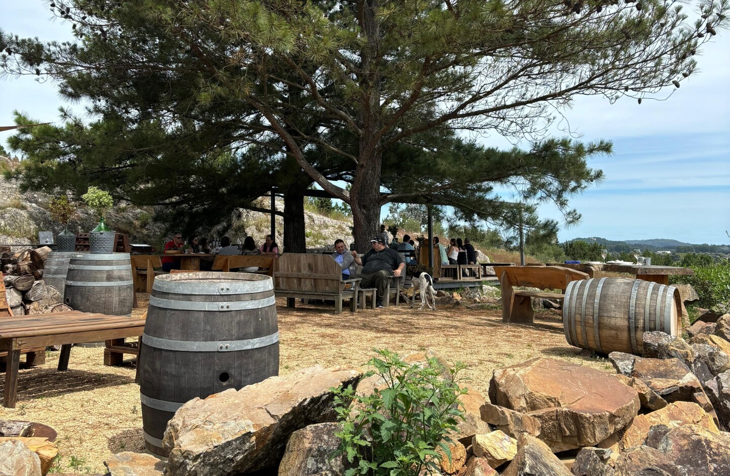 Bodega Alto de la Ballena, en Maldonado.