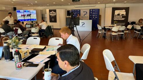 Remate PU 13 de mayo  .jpg