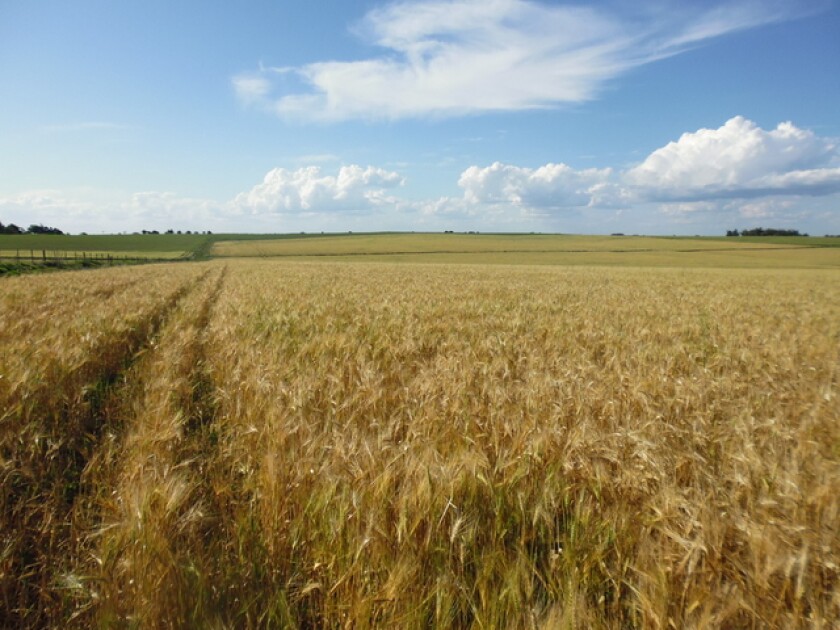 20151107120430d0675b13ea547f81492d55c6736d5d83