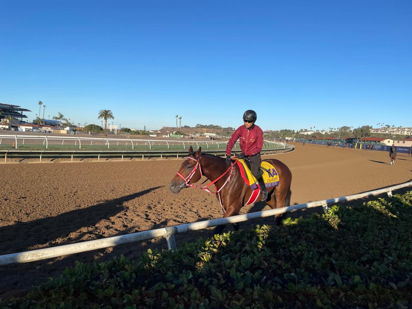 Forever Young Del Marjpg.jpg