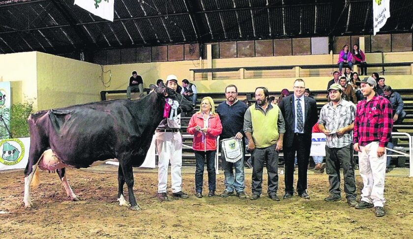 imagen-gran-campeona-holando-pi-1024x594.jpg