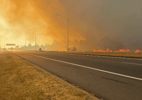 Incendio en La Floresta