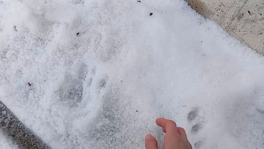 Nieve en la UAM. Foto: captura de pantalla Subrayado