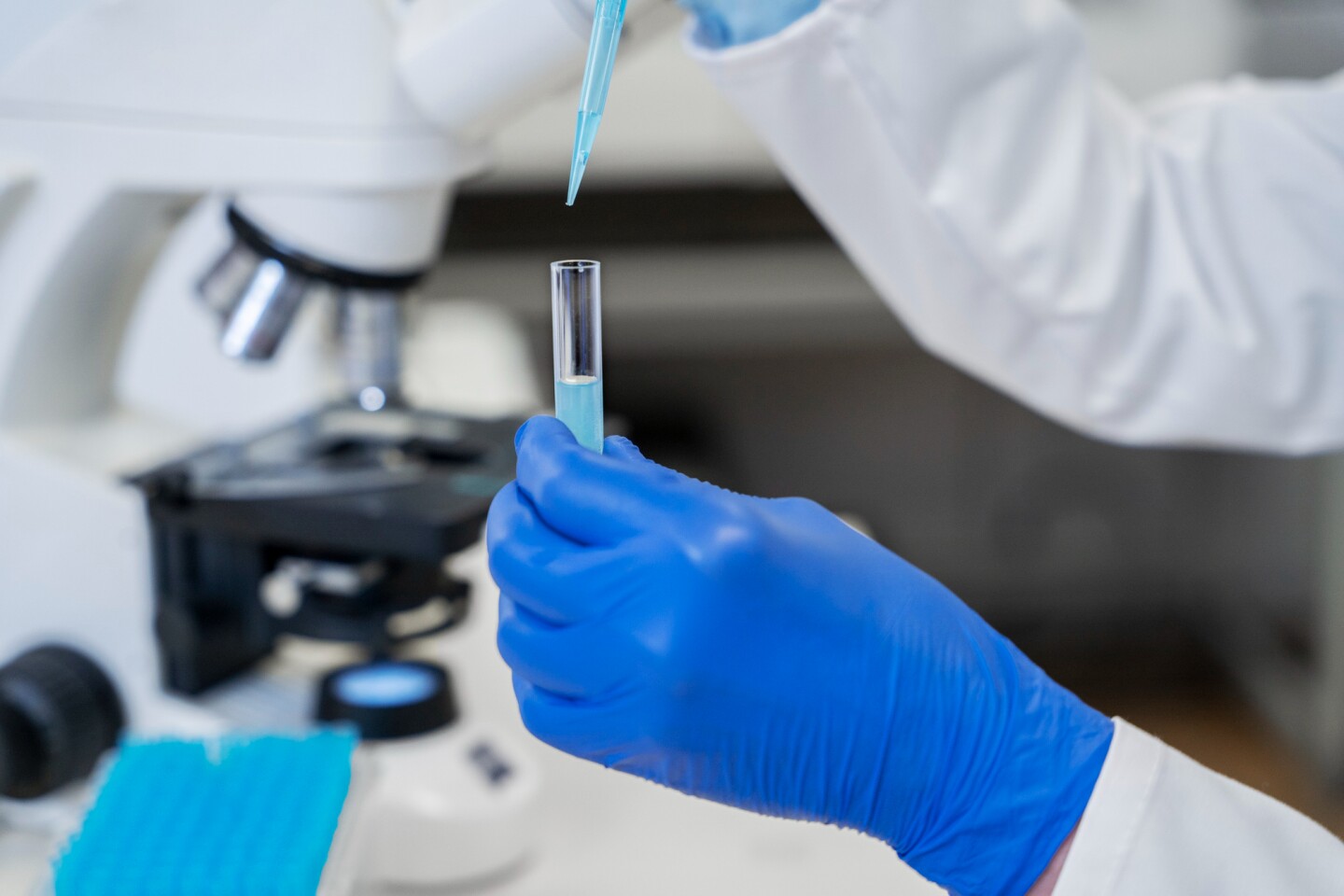 Laboratorio.jpg