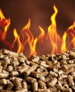 Economía y Mercado - 2024-08-06T165123.012.jpg