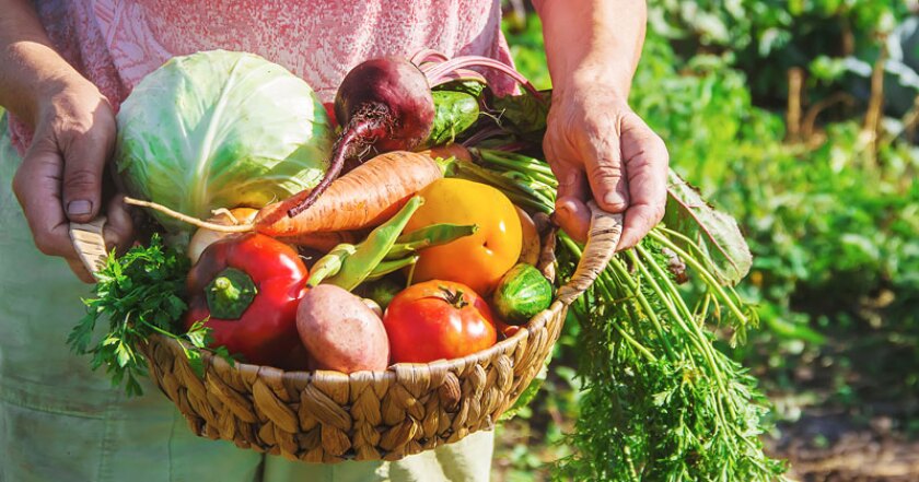 vegetales, verduras