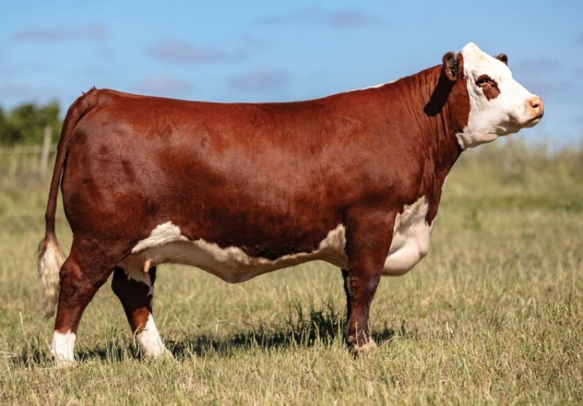 Previa Madres Superiores.jpg