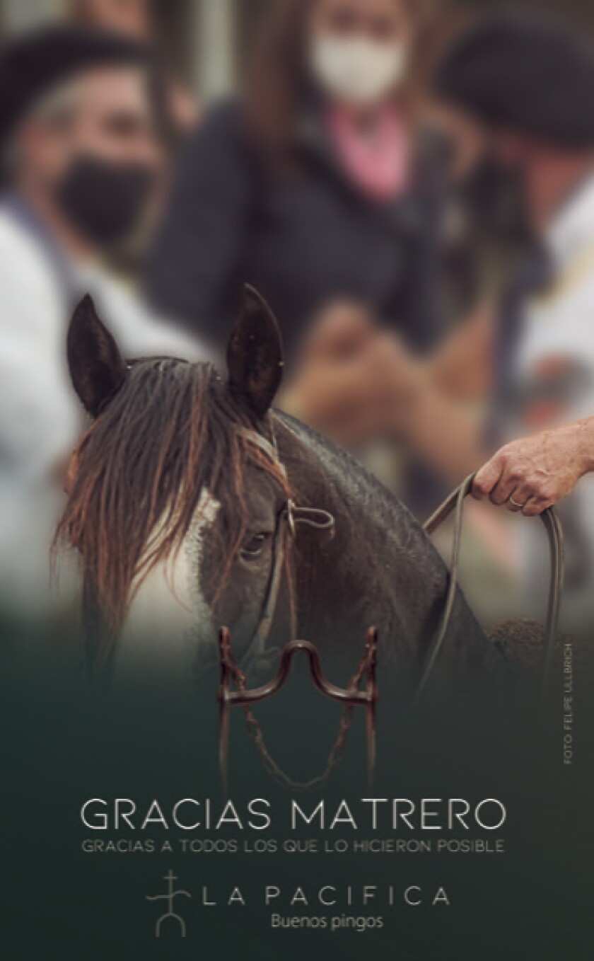 d74e17df-3a6a-493b-9270-590451a644a3.jpeg