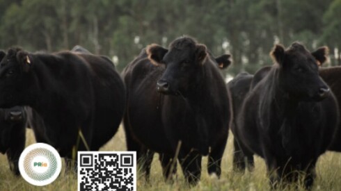 Previa Plaza mayoo 13.jpg