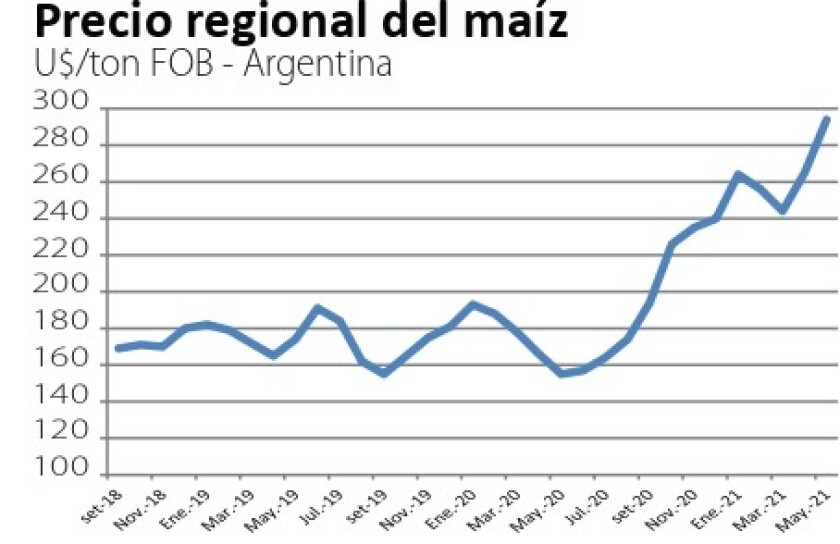 maiz.jpg