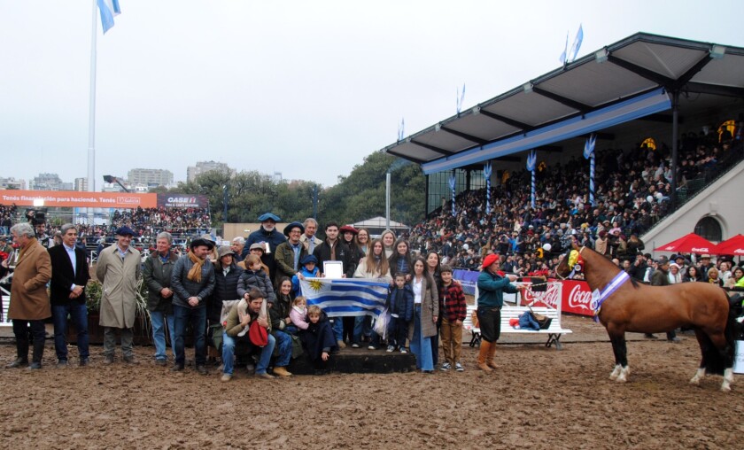 TAÑIDO BUENAZO .jpg