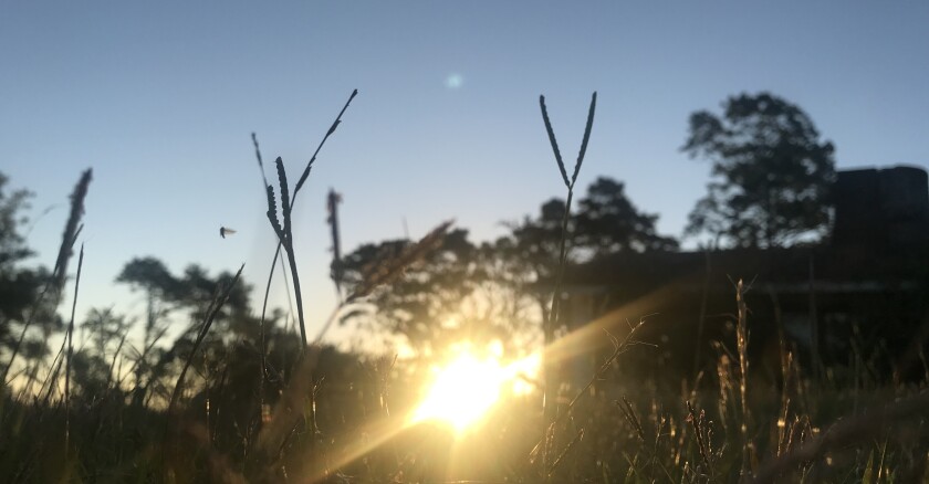 campo, clima, sol, atardecer. Foto Manuela García Pintos