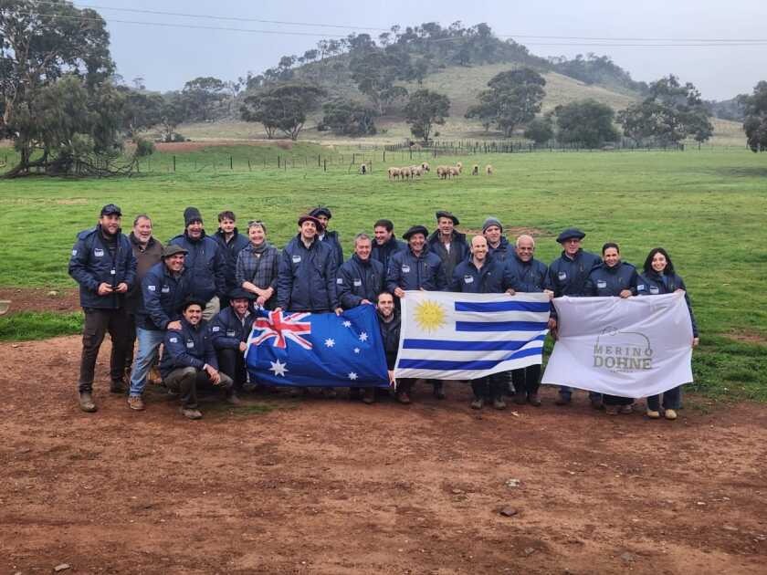 Delegación uruguaya de Merino Dohne conociendo los sistemas de producción.