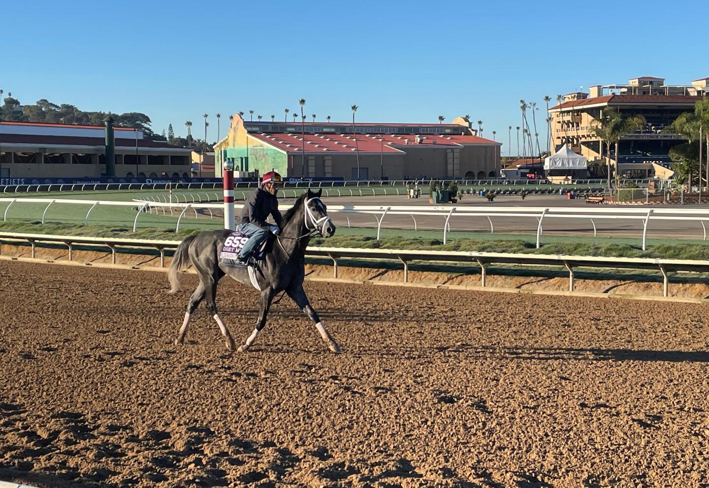 Del Mar Touch of Destiny.jpg