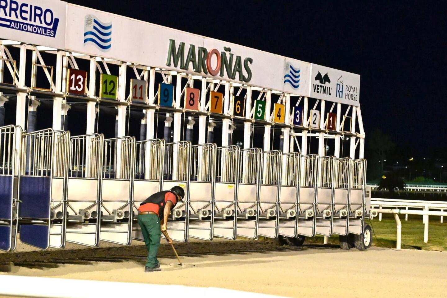 Las gateras del Hipódromo de Maroñas en la previa del Gran Premio Ramírez 2025.