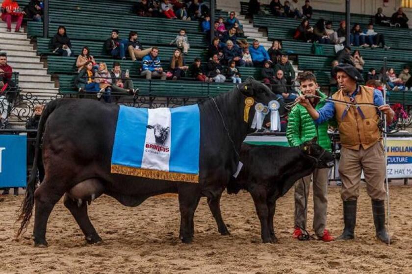campo-2497711w640.jpg