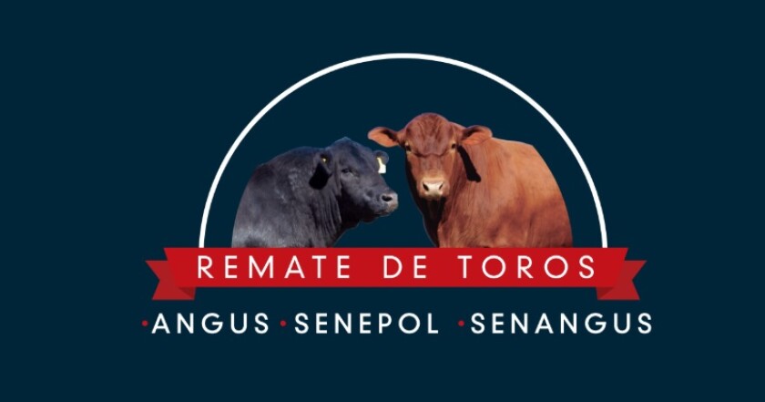 previa-el-cerro.jpg