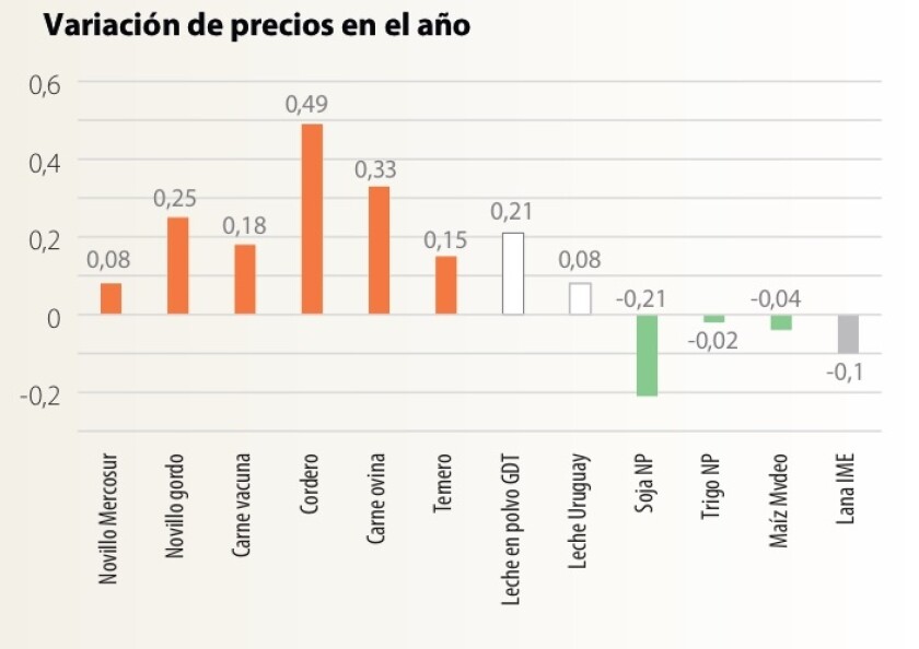 Gráfica Rafa.jpg