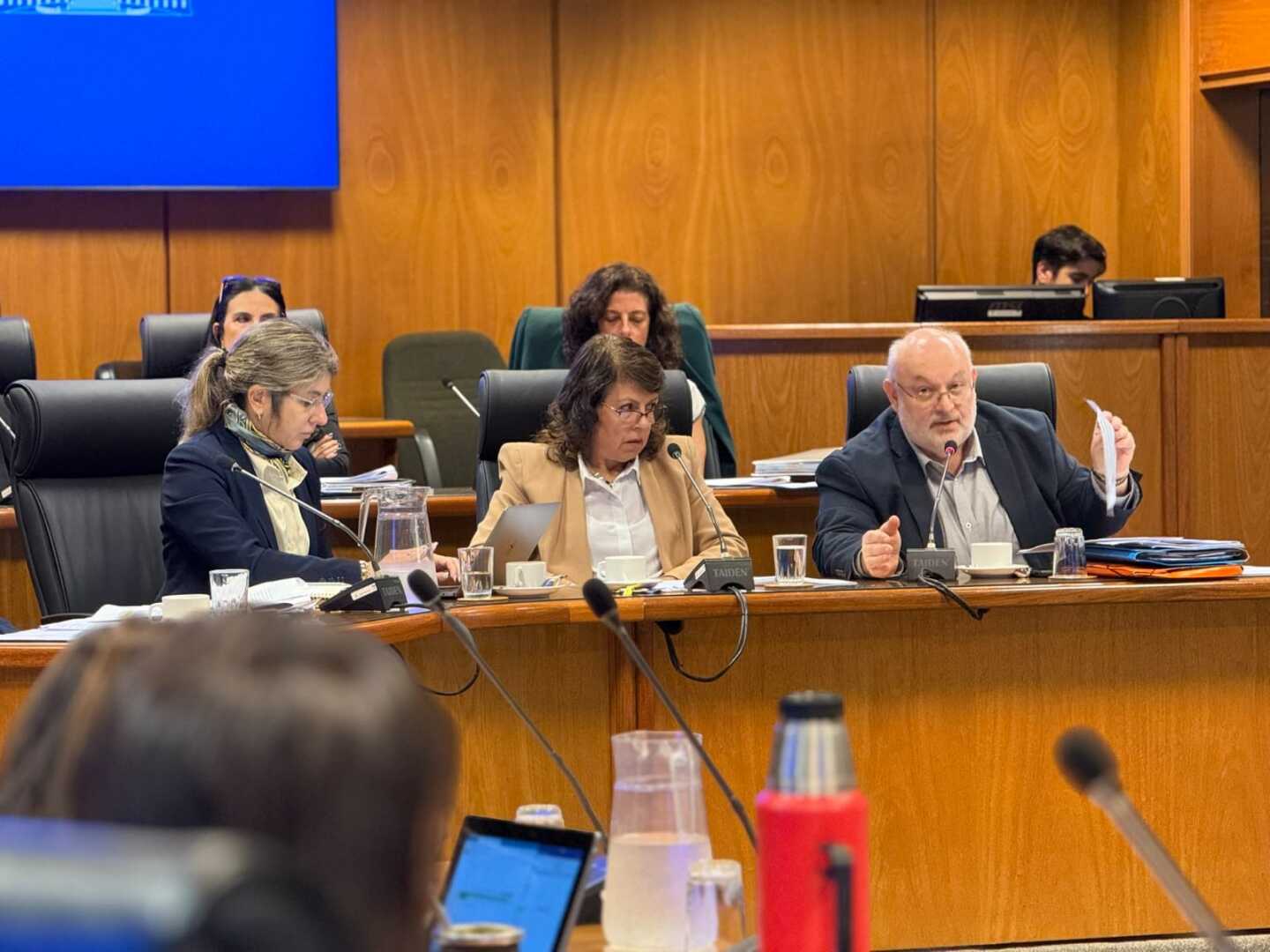Fernando Rodríguez, director de la Caja de Profesionales, ante el Parlamento.jpg