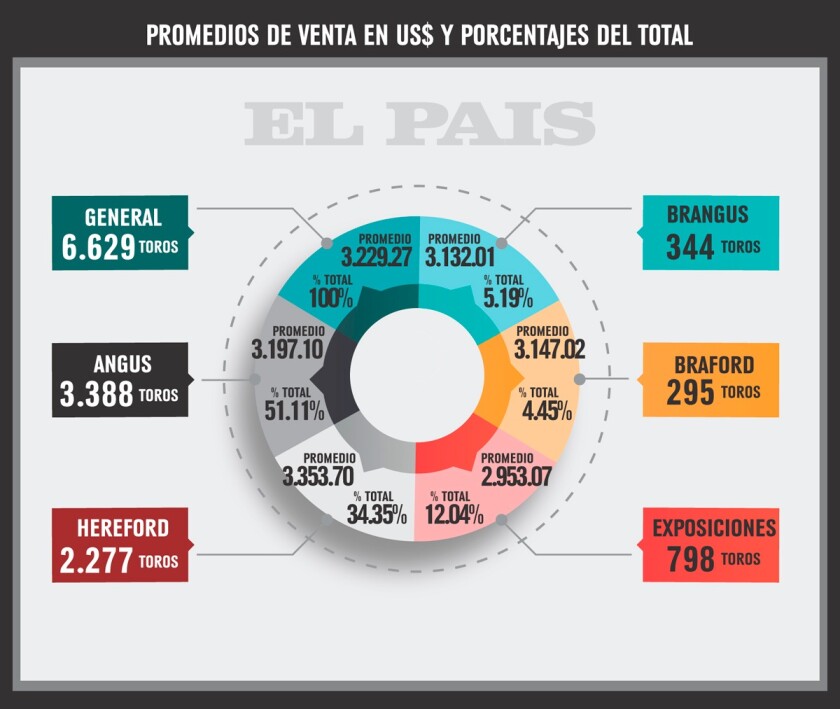 resumen-total.jpeg