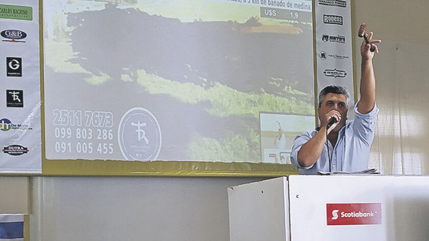 lote-21.jpg