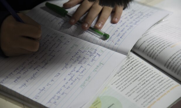 Estudiante, escuela, cuaderno, escolar, primaria