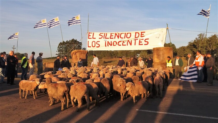 el-silencio-de-los-inocentes.jpg