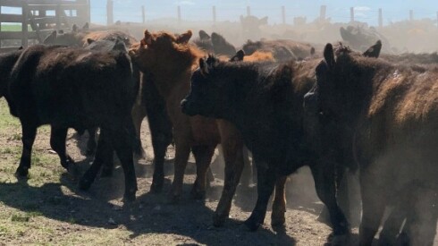 Previa Plaza Rural  agosto 2025.jpg