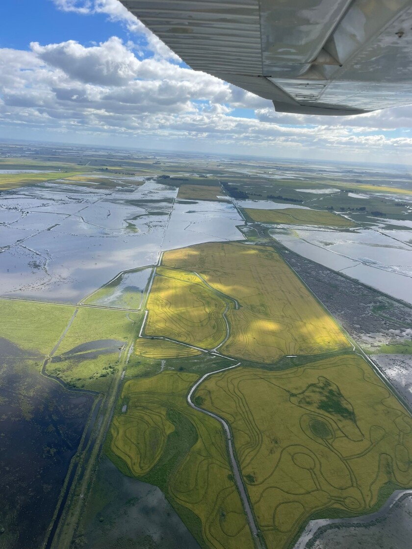 Inundaciones en chacras de arroz del este.