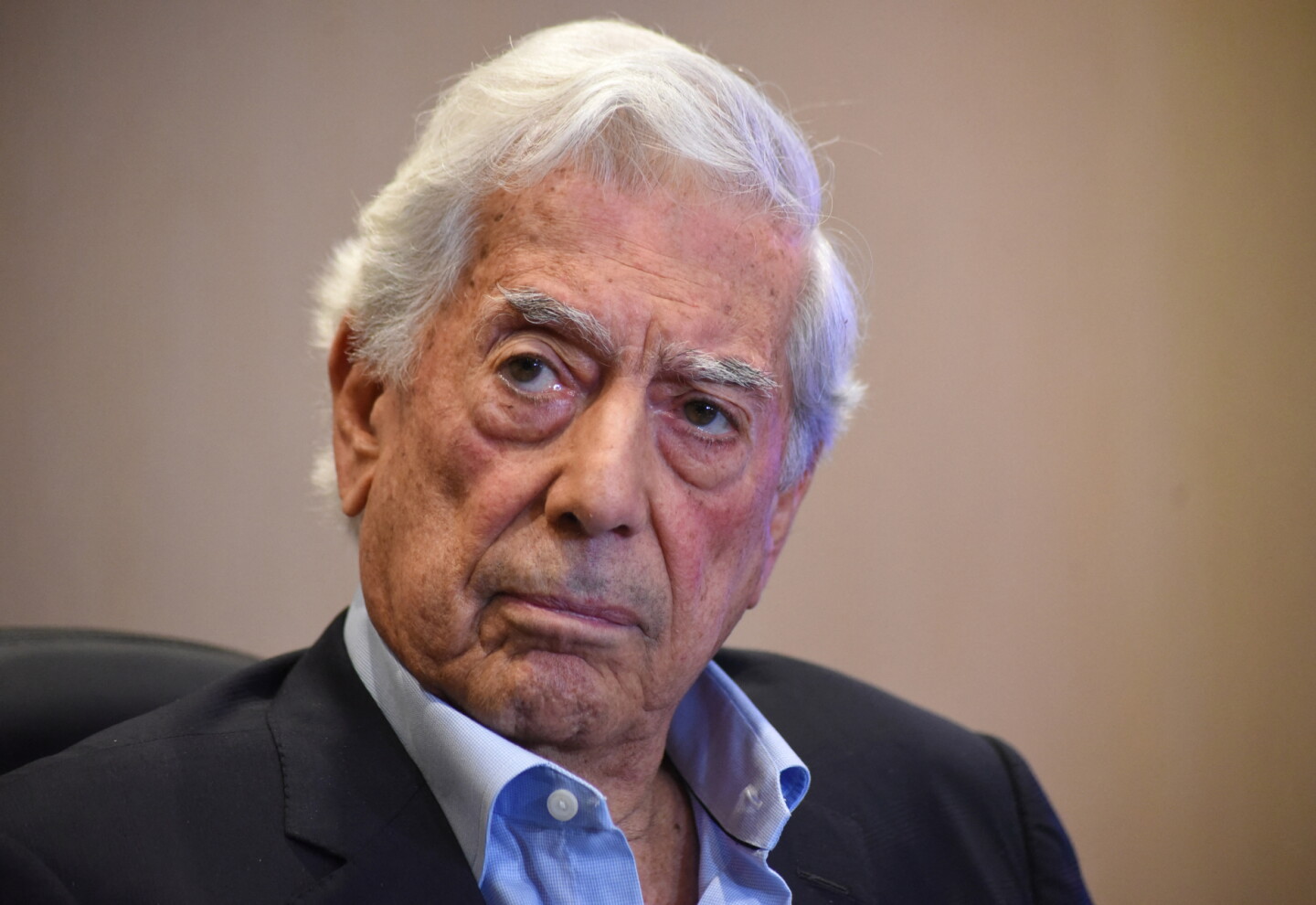 Mario Vargas Llosa.jpg