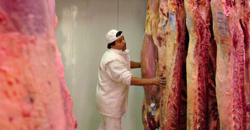 carne, frigorífico