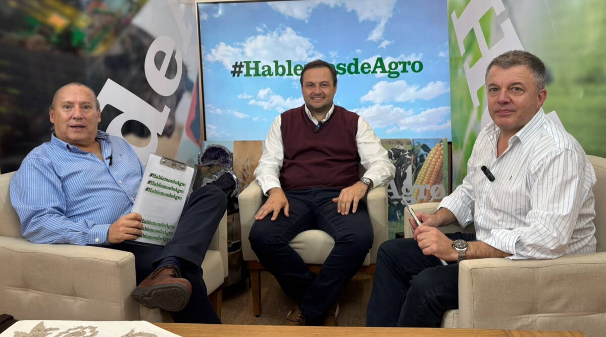 Helguera: “El mercado está firme y no hay nada que diga que esto vaya a cambiar”