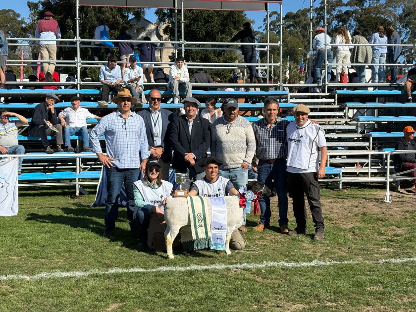 Gran Campeona PO Dorper de Los Guayabos.