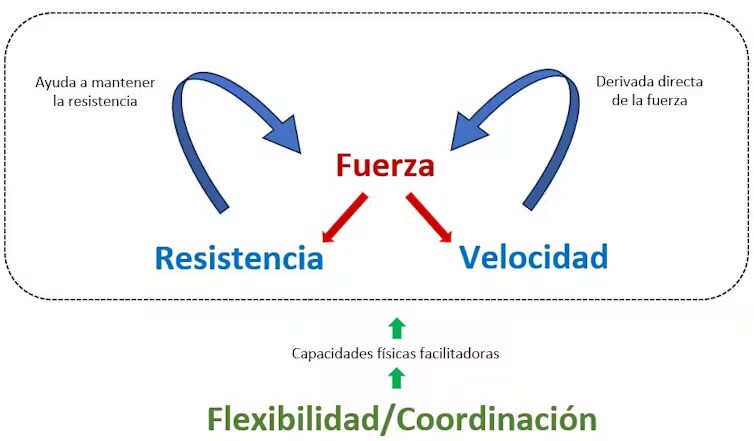 Esquema entrenamiento3.jpg