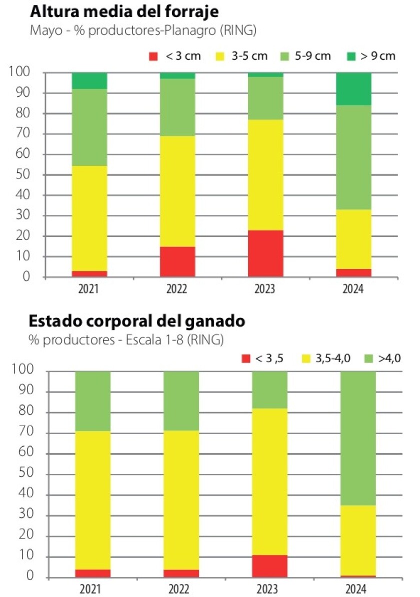 altura media forraje.jpg