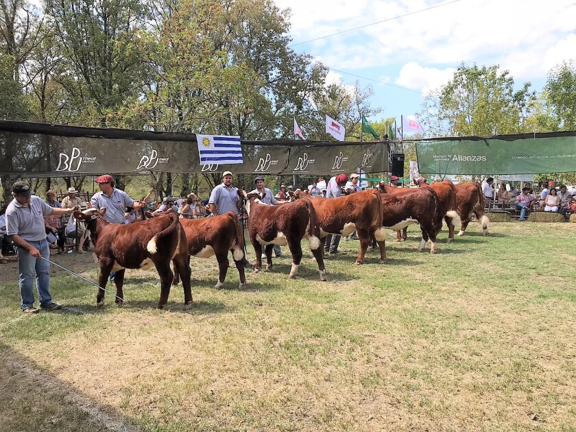 expo-durazno.jpg