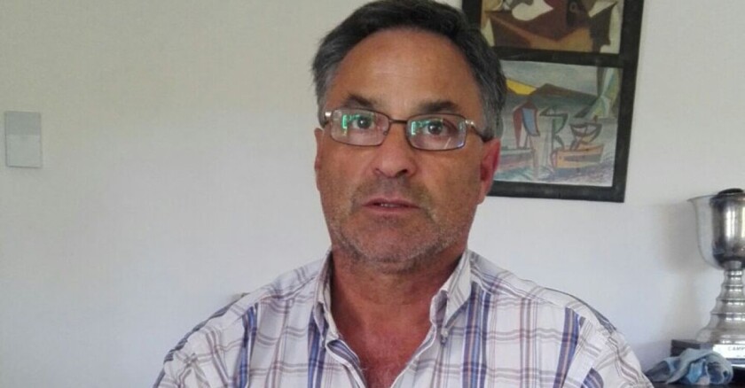 Ganado Angus en Campo.