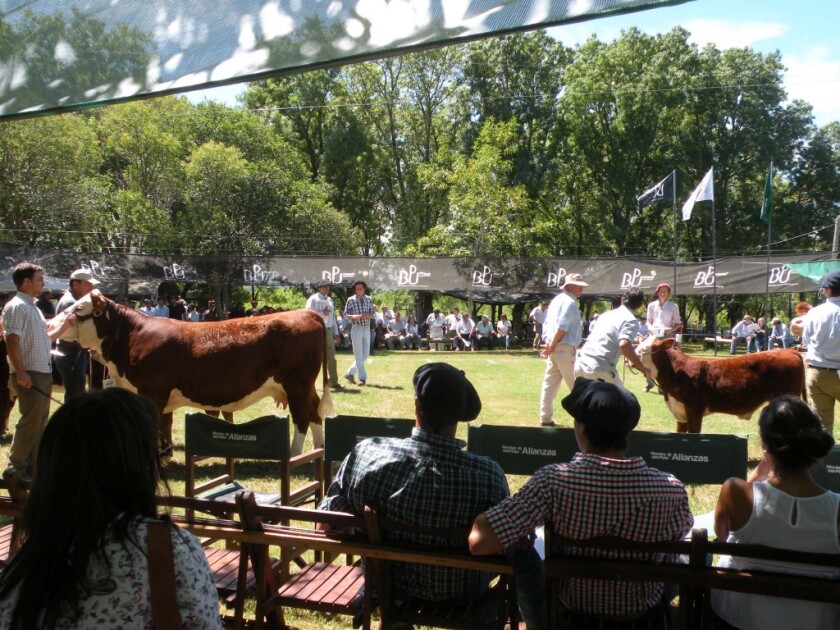 Expo Duranzo. Foto: Rurales - El País.