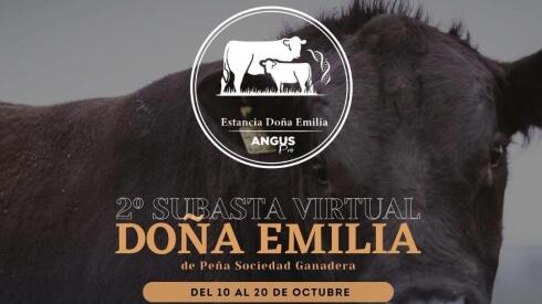 Doña Emilia