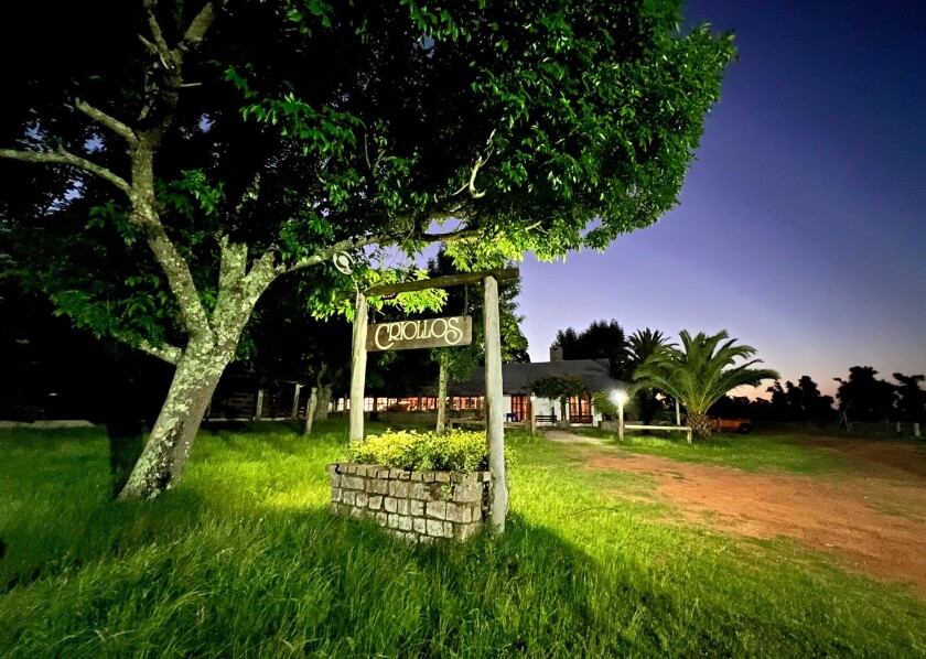 Criollos de Cerro Largo ok .jpg