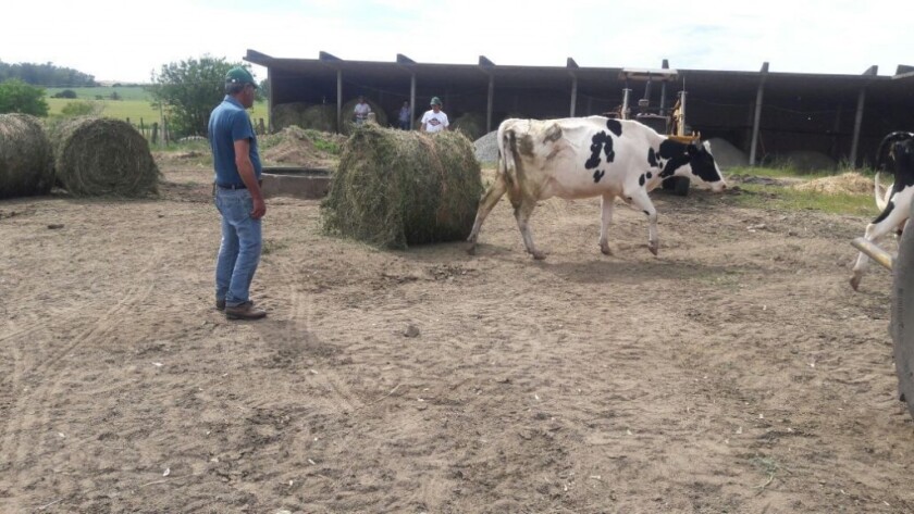 ESCUELA LECHERÍA - Colonia Suiza