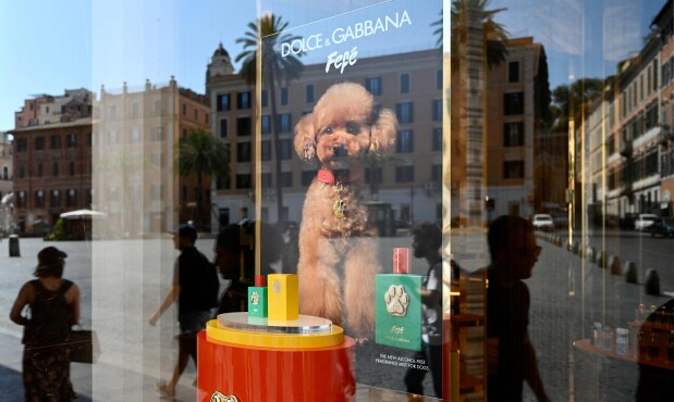 Vidriera de Dolce & Gabbana.