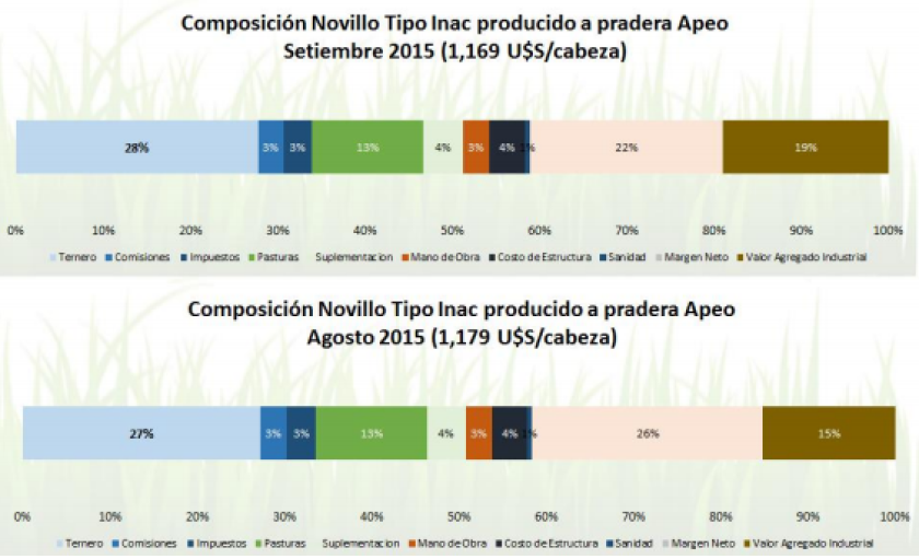 Gráfico 7 | Consultora Apeo.