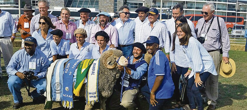 imagen-sin-titulo-1.jpg