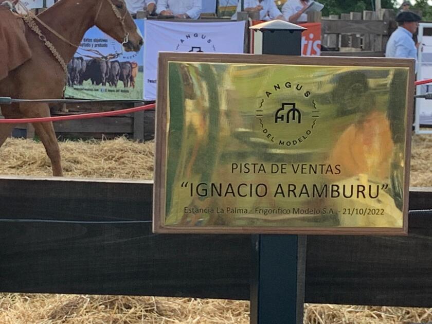 WhatsApp Image 2022-10-21 at 5.51.35 PM (1).jpeg