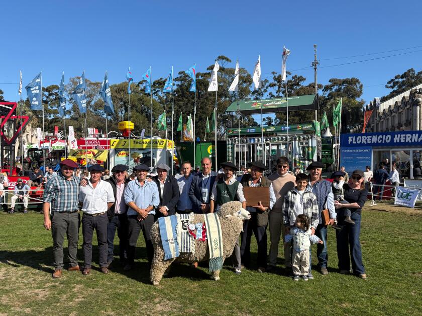 Gran Campeón PO de La Lucha, de la familia Echeverría.
