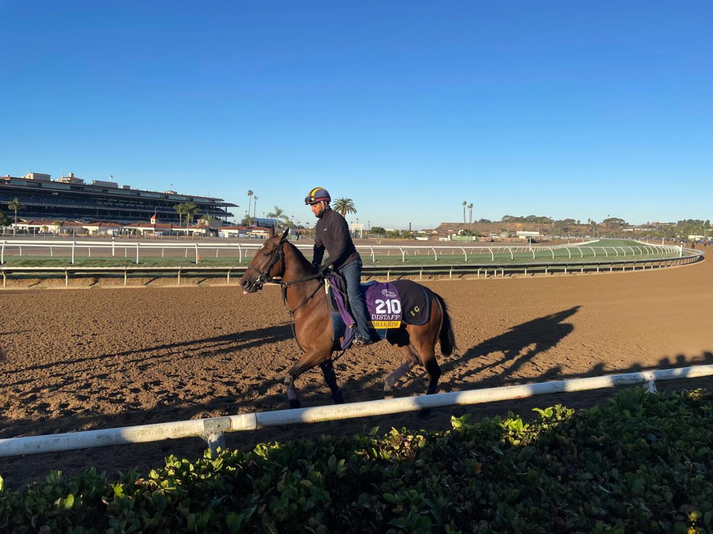 Sarawak Rim Del Mar.jpg