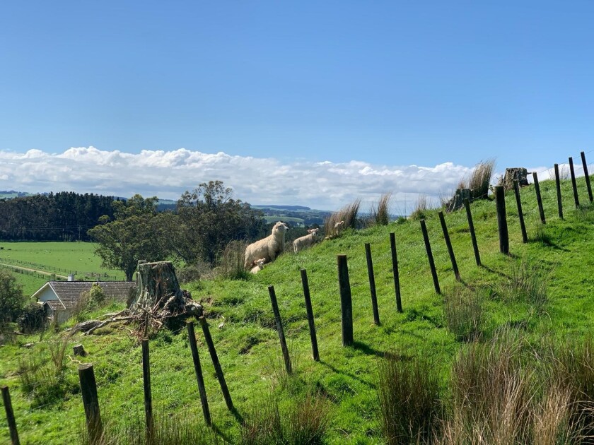 Nueva Zelanda